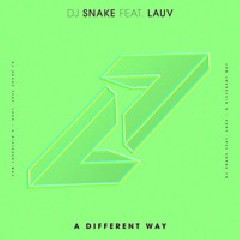 DJ Snake - A Different Way (feat. Lauv) Mp3